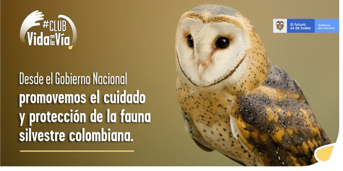 Gobierno nacional invita a los colombianos a hacer parte del #ClubVidaEnLaVía, iniciativa para proteger la fauna silvestre en la infraestructura de transporte